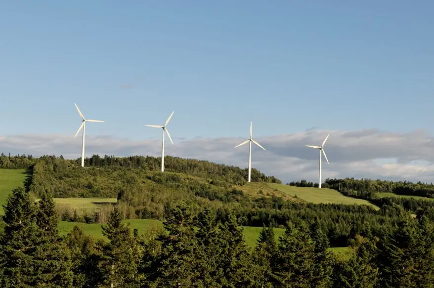 Minéraux d’avenir : 4 avantages de développer la filière